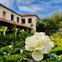 Carmelite Monastery