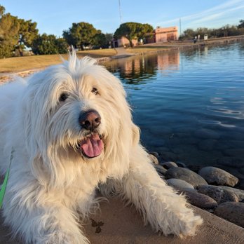 Granada Park - Enzo the Yeti at the park in December 2022 - Parks Near Me - Phoenix, Arizona