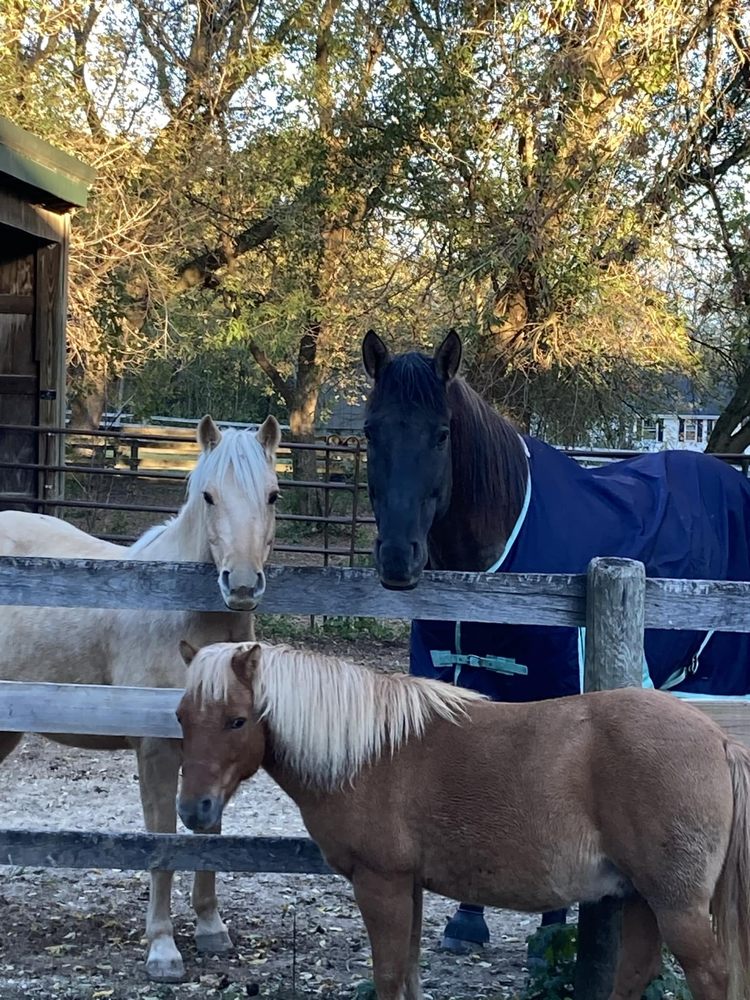 Hidden View Farm - equestrian in Mequon, WI