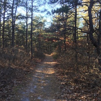 Quogue Wildlife Refuge - Parks Near Me - Quogue, New York Quogue Wildlife Refuge - Parks Near Me - Quogue, New York
