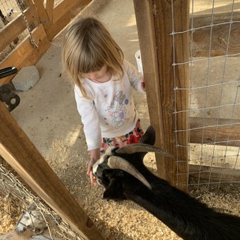 Why Not An American Ark - Attraction Farms Near Me - Monroe, North Carolina