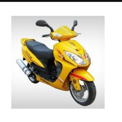 Motorsports Playground - 49cc scooters in Stock staring at $600 and up