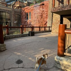 Westgate Park City Resort & Spa - Front of hotel with my dog