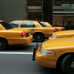 Checker Transportation