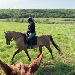 Long Acre Farm