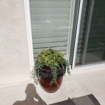 Interior Plant Service - undefined - Nurseries & Gardening Near Me - San Diego, California