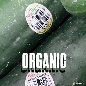 Juice Maid by Herbnbros - Organic Produce - Juice Bars & Smoothies Near Me - Baton Rouge, Louisiana Juice Maid by Herbnbros - Organic Produce - Juice Bars & Smoothies Near Me - Baton Rouge, Louisiana