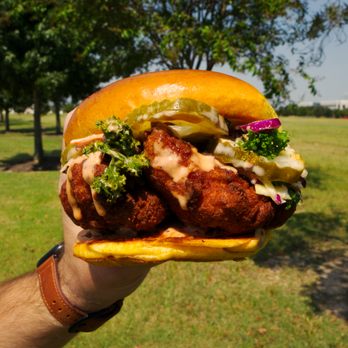 Chronic Fries - a hand holding a sandwich in a park - New American Near Me - Fulshear, Texas Chronic Fries - a hand holding a sandwich in a park - New American Near Me - Fulshear, Texas
