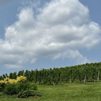 Linden Vineyards - Wineries Near Me - Linden, Virginia