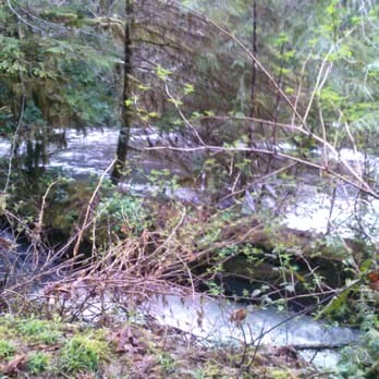 Sweet creek trail - Hiking Near Me - Mapleton, Oregon Sweet creek trail - Hiking Near Me - Mapleton, Oregon