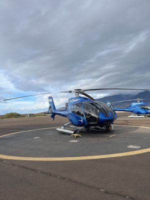 Blue Hawaiian Helicopters by null