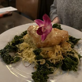 Twisted Tree - Sea bass over squash and kale - Seafood Near Me - Saint Louis, Missouri