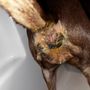 Photo of Guernsey Veterinary Clinic