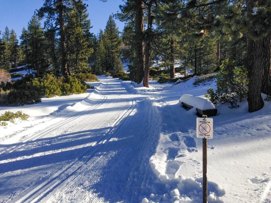 Rim Nordic XC Ski Area & Mountain Bike Park by null