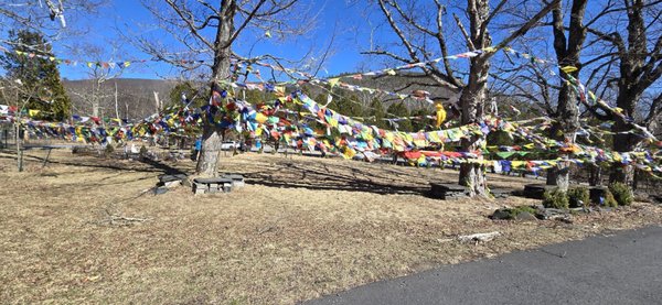 KTD - Karma Triyana Dharmachakra by null