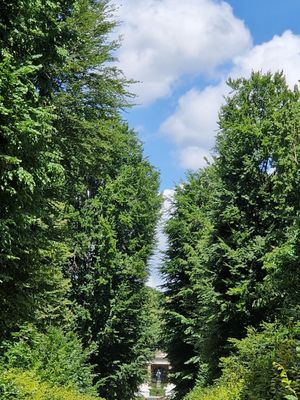 Sanssouci Park by null