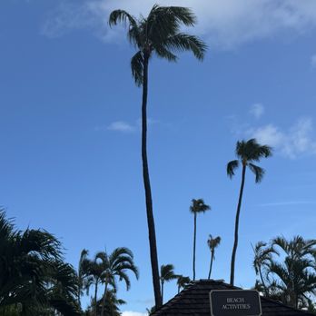 Lahaina Noon - View from our patio seat - Hawaiian Near Me - Lahaina, Hawaii