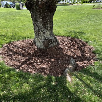 T’s Landscaping - Lawn Services Near Me - Gray, Tennessee T’s Landscaping - Lawn Services Near Me - Gray, Tennessee