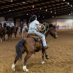 Brooks Land Stables