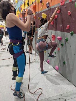 Pacific Pipe by null