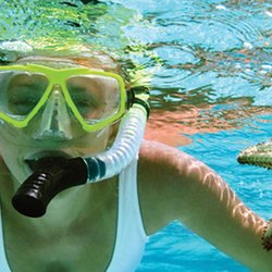 Dream Vacations - Fields Travel Group - Is your Dream Vacation... Snorkeling in Hawaii?