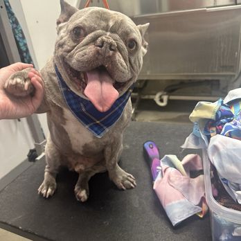 Lakeshore Boarding - Lakeshore Grooming. - Pet Training Near Me - Nampa, Idaho Lakeshore Boarding - Lakeshore Grooming. - Pet Training Near Me - Nampa, Idaho