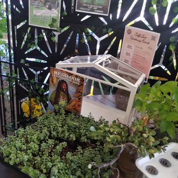 Wow flower project - Plants everywhere - Attraction Farms Near Me - Palmdale, California Wow flower project - Plants everywhere - Attraction Farms Near Me - Palmdale, California