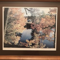 My restored great grandfathers picture. They even restored and stained the old frame as well as matted it. It looks so nice!
