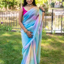 The Passionate Shoppers - Organza silk saree in unicorn colors