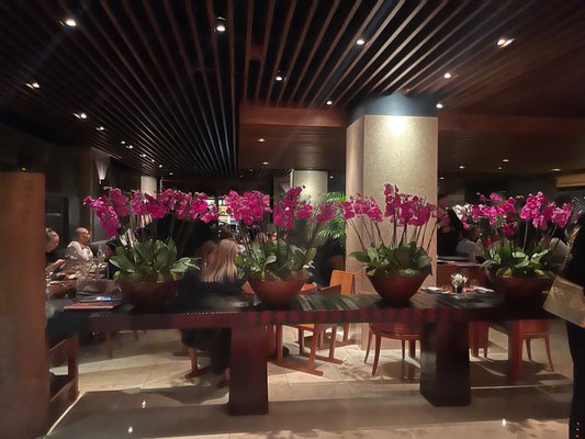 Novikov Restaurant & Bar by null