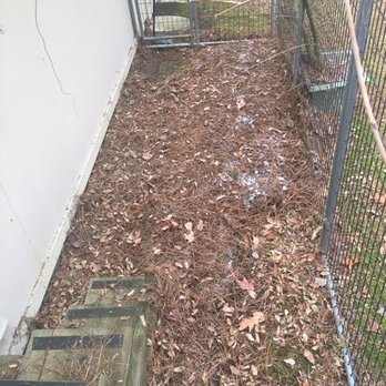Triangle Exterior Solutions - Gutter Services Near Me