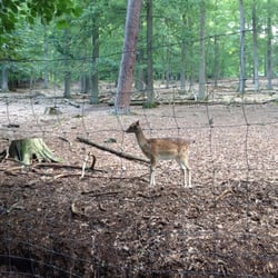 Wildpark Kaiserslautern