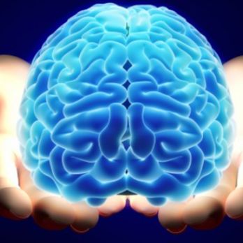 Mind Over Matter Hypnotherapy - Hypnosis/Hypnotherapy Near Me - Lacey, Washington Mind Over Matter Hypnotherapy - Hypnosis/Hypnotherapy Near Me - Lacey, Washington