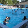 Fircrest Pool gift card