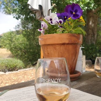 McEvoy Ranch - I love stemless wine glasses. - Wine Tasting Room Near Me - Petaluma, California