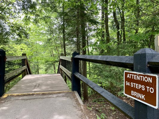 Tahquamenon Falls State Park by null