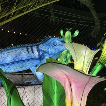 Glowfari - Zoos Near Me - Oakland, California Glowfari - Zoos Near Me - Oakland, California