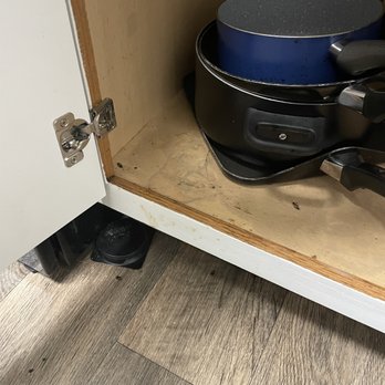 Latitude49 - Roaches in cabinets - University Housing Near Me - Charlotte, North Carolina Latitude49 - Roaches in cabinets - University Housing Near Me - Charlotte, North Carolina