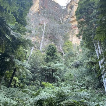 Scenic World Blue Mountains - Tours Near Me - Katoomba, NSW
