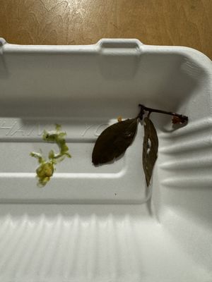 Taqueria Habanero by null