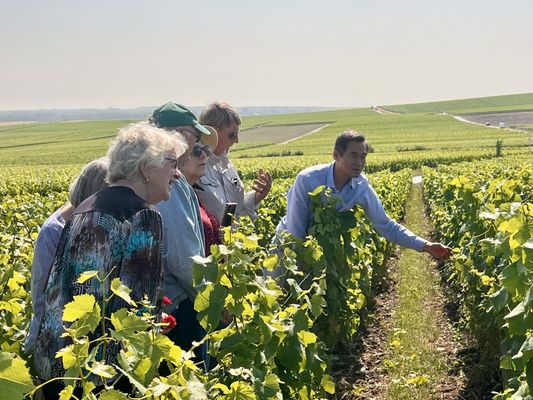 Paris Champagne Tour by null