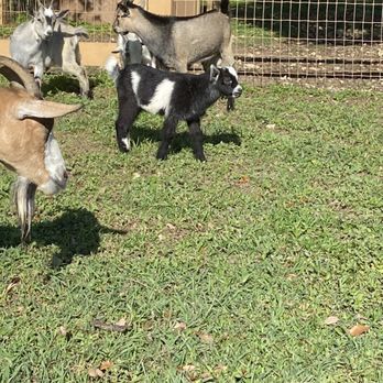 Pinto's Farm - Venues & Event Spaces Near Me - Miami, Florida