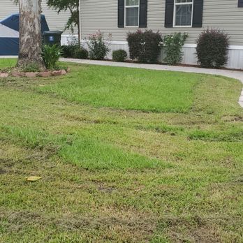 Birch Hollow - Came home to a butchered "forced mow". We mow every other week but due to heavy rains we were unable to mow. - Mobile Home Parks Near Me - Goose Creek, South Carolina Birch Hollow - Came home to a butchered "forced mow". We mow every other week but due to heavy rains we were unable to mow. - Mobile Home Parks Near Me - Goose Creek, South Carolina