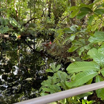 Naples Botanical Garden - Botanical Gardens Near Me - Naples, Florida