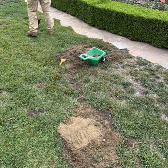 West Coast Gopher Service - Gopher mounds in backyard lawn area - Wildlife Control Near Me West Coast Gopher Service - Gopher mounds in backyard lawn area - Wildlife Control Near Me