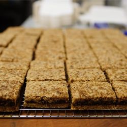 Nourished Food Bar - Fig bars - raw and organic - incredibly delicious.