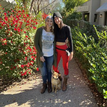 Triumph Dog Training - Pet Training Near Me