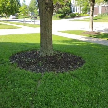 4 Seasons Landscape and Design - Lawn Services Near Me 4 Seasons Landscape and Design - Lawn Services Near Me