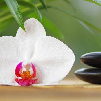Astoria Laser Spa - Laser Hair Removal Near Me - Astoria, New York