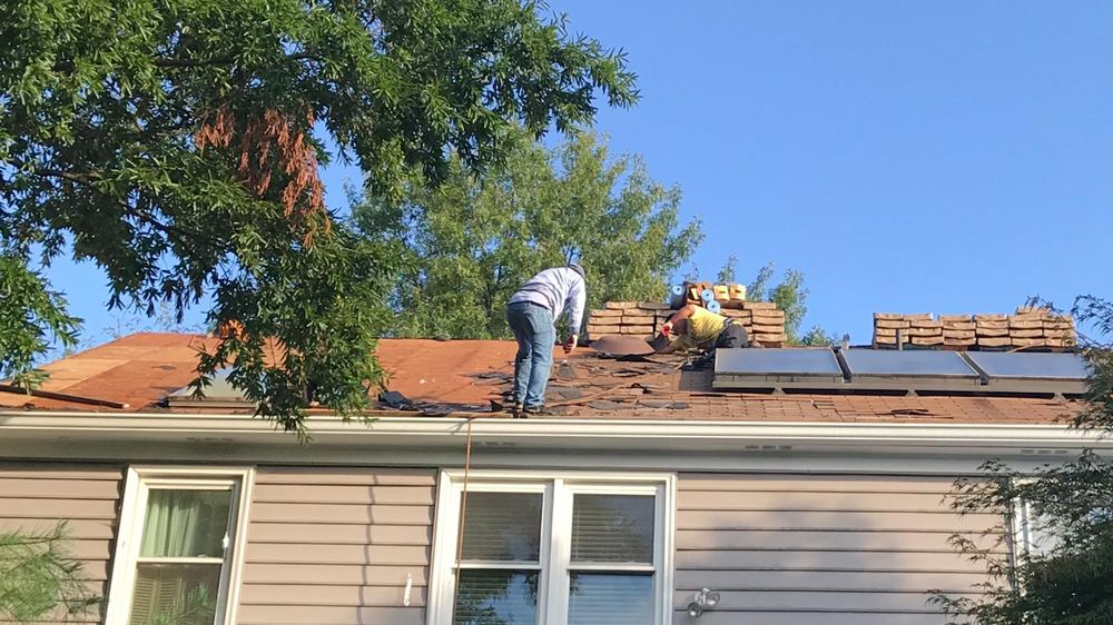 Slide of Salvador's Painting